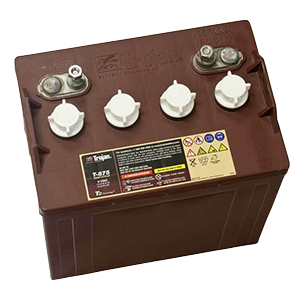 golf cart maintenance, savannah golf cart service, battery service