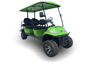 golf cart repair service, savannah cart repair pickup, golf cart inspection